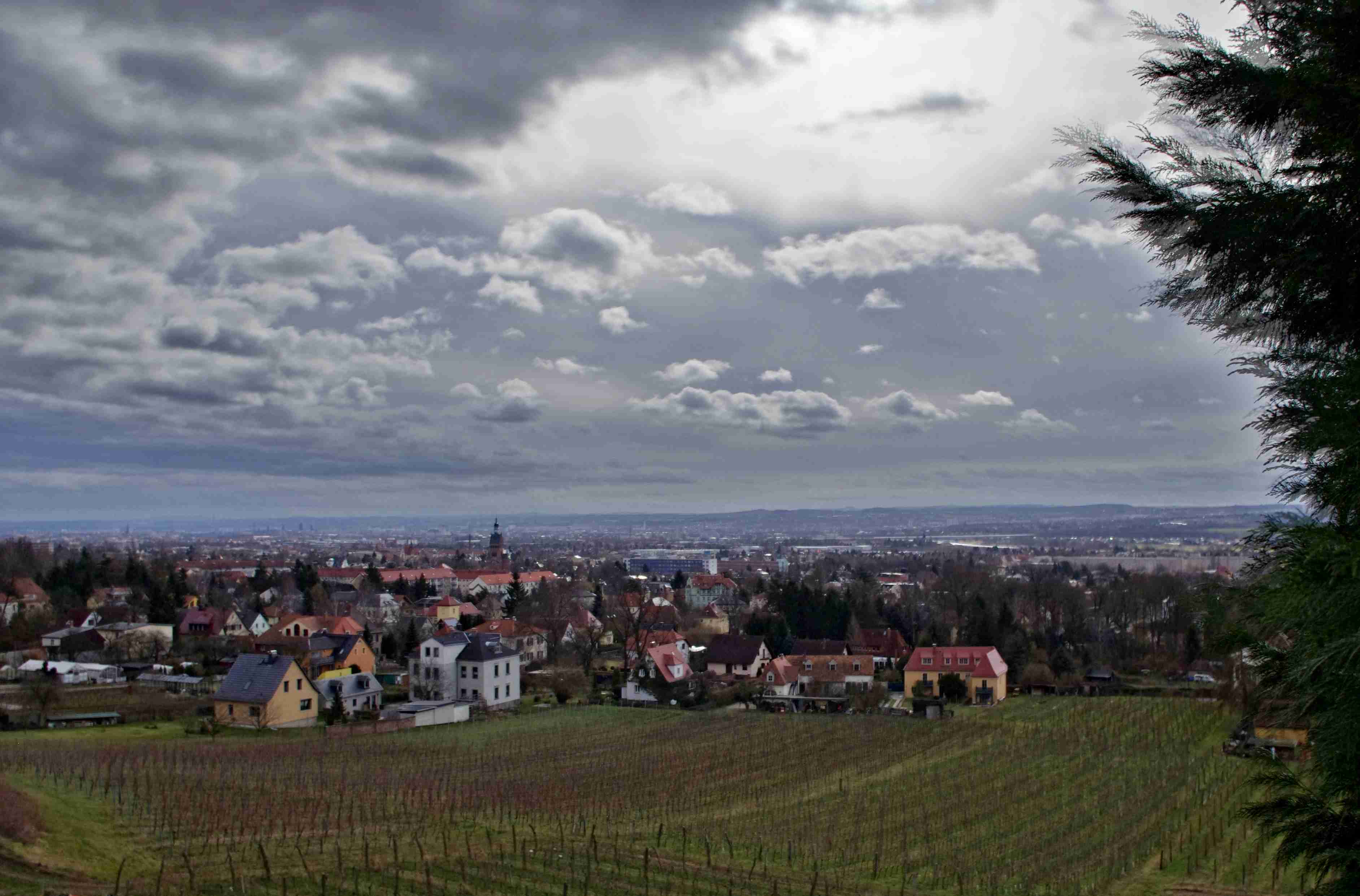 Blick über Radebeul und Dresden